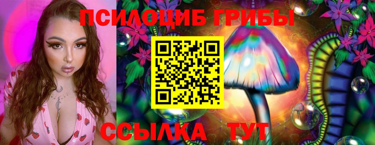 Горно-Алтайск  Галлюциногенные грибы мухоморы  Вход с VPN 