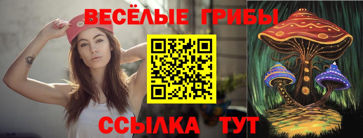 Галлюциногенные грибы MAGIC MUSHROOMS Горно-Алтайск